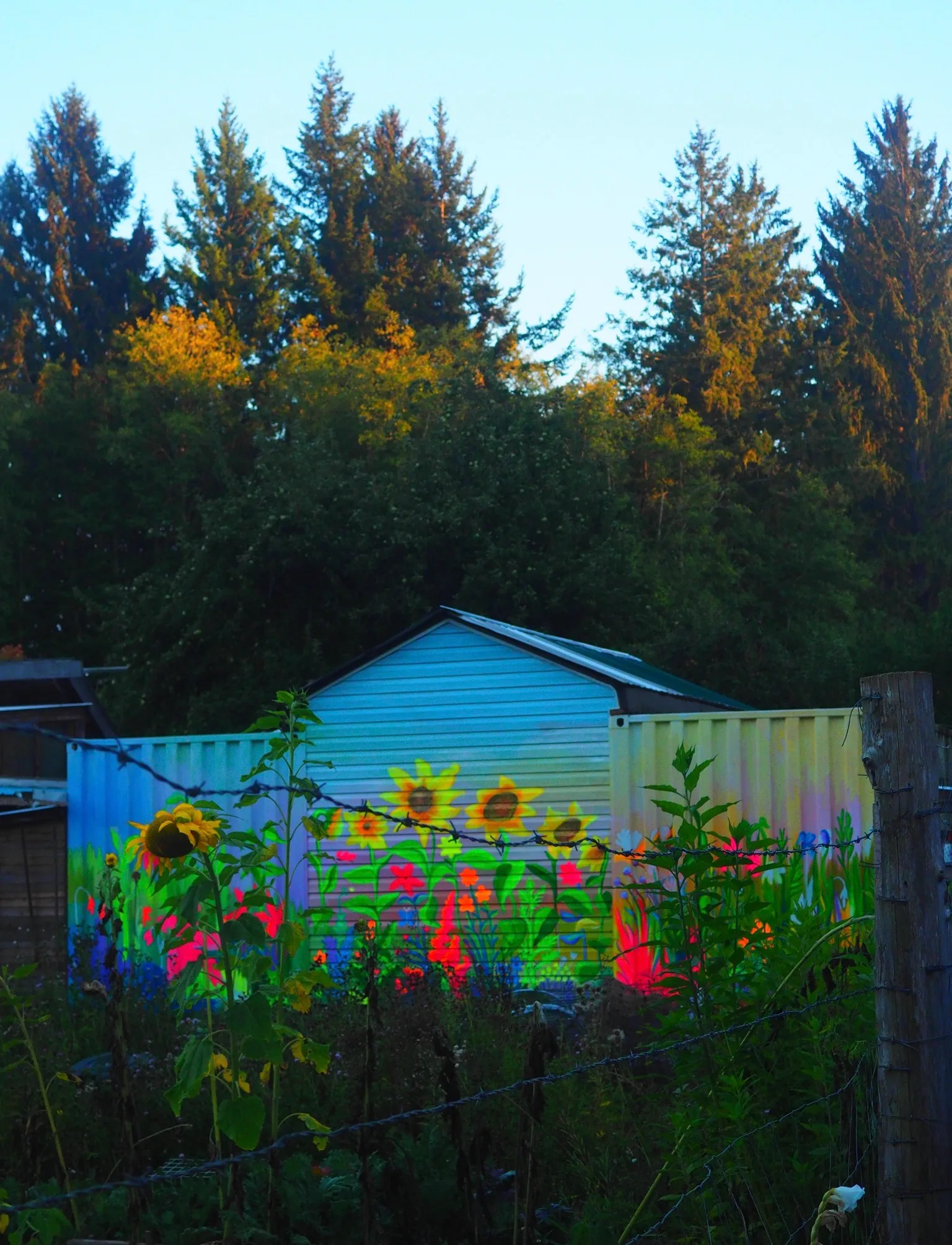 Mural by Shalagh Quinn — IMG_A9473232E5BE-1